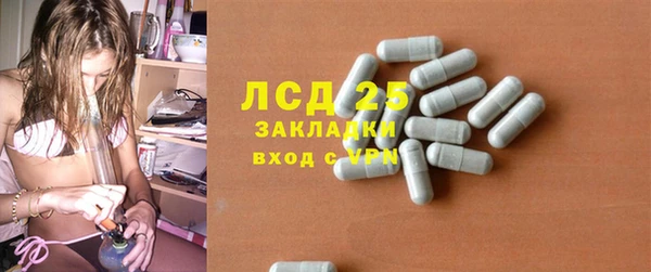 крисы Инта