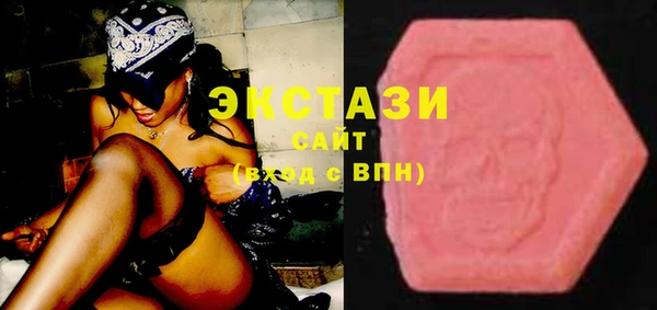 крисы Инта