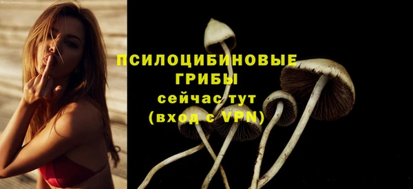 МДМА Инсар