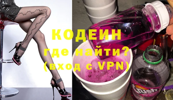 крисы Инта