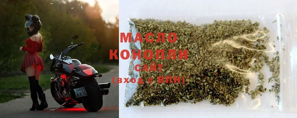 крисы Инта