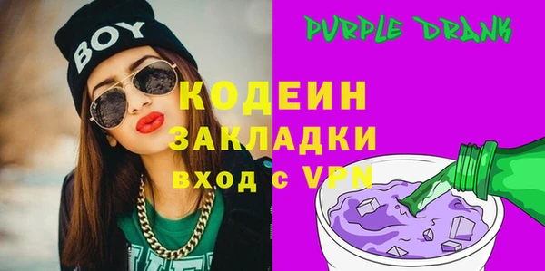 крисы Инта