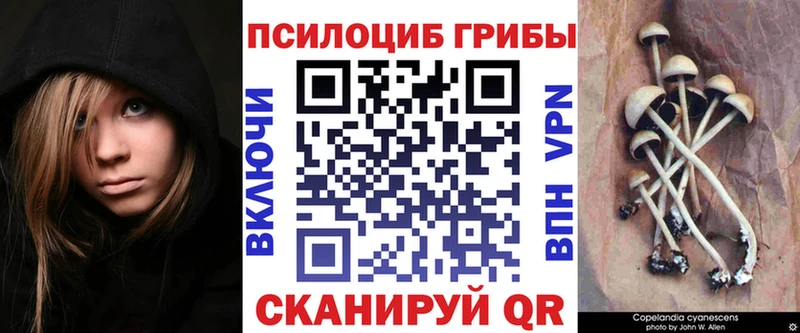 Галлюциногенные грибы GOLDEN TEACHER  Нефтеюганск 