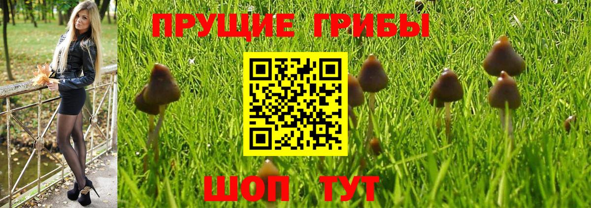Нефтеюганск  Галлюциногенные грибы GOLDEN TEACHER  Вход с VPN 